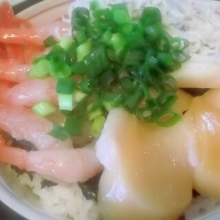 ホタテ、甘エビ、しらす丼